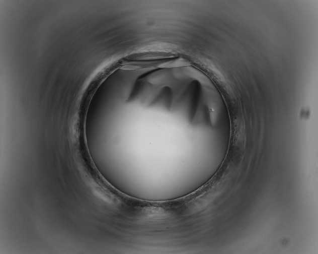 X0000100750392200807031341