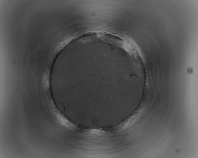 X0000100750393200807031341