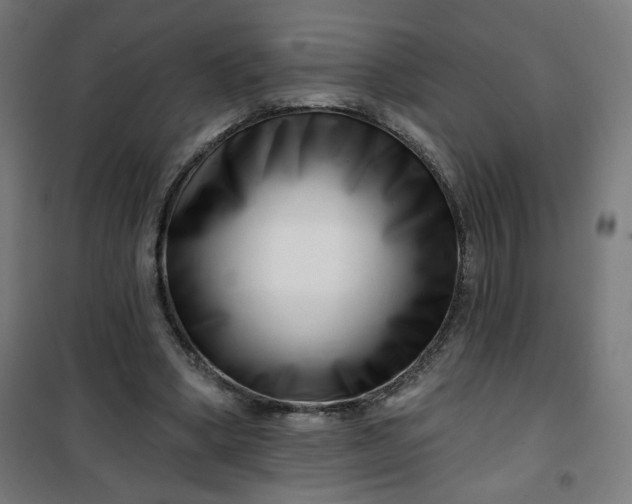 X0000100750394200807031341