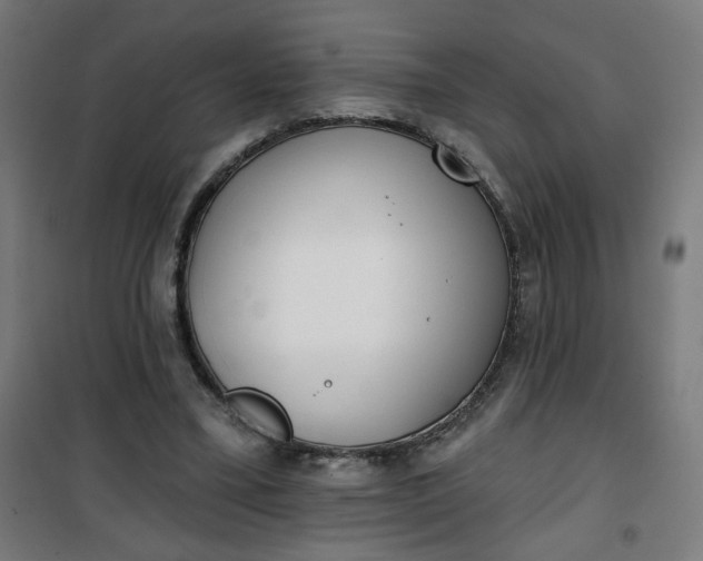 X0000100750395200807031341