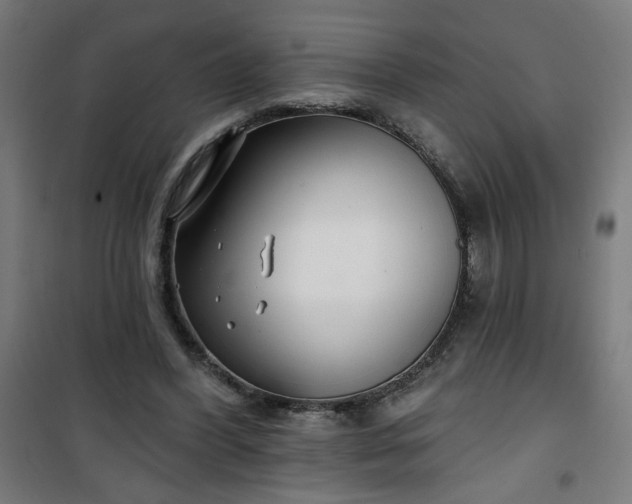 X0000100750396200807031341