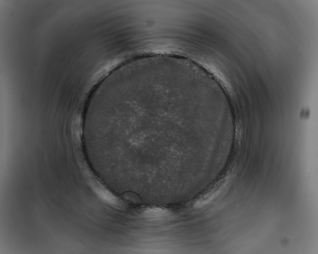 X0000100750397200807031340