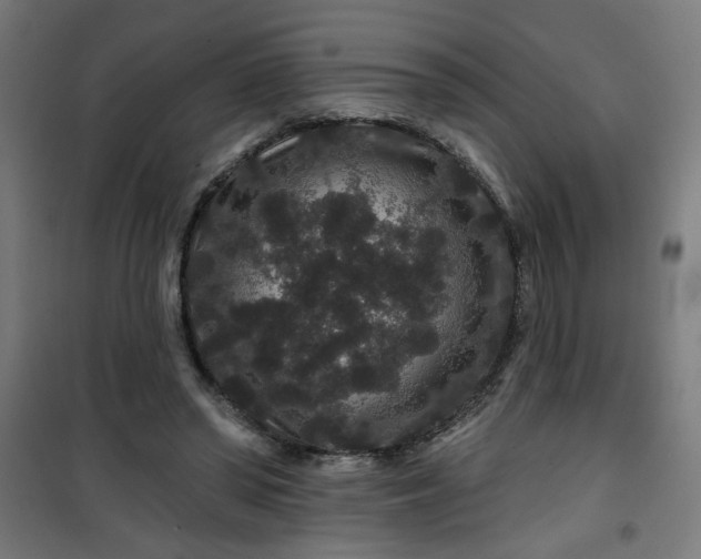 X0000100750398200807031340