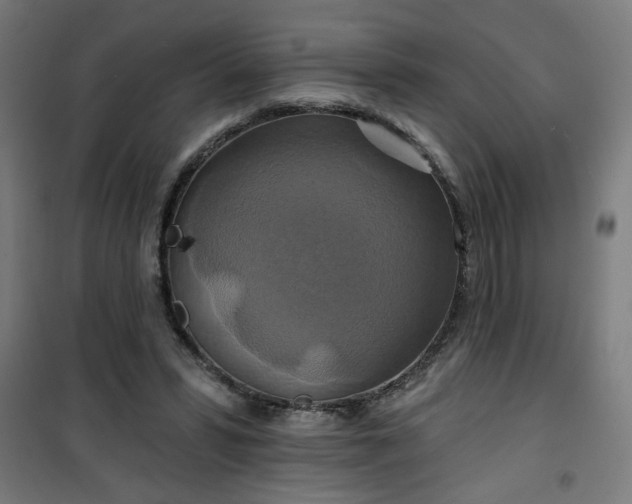 X0000100750399200807031340