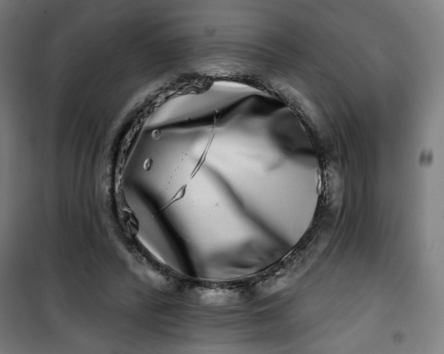 X0000100750400200807031340