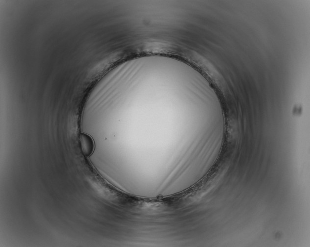 X0000100750401200807031340