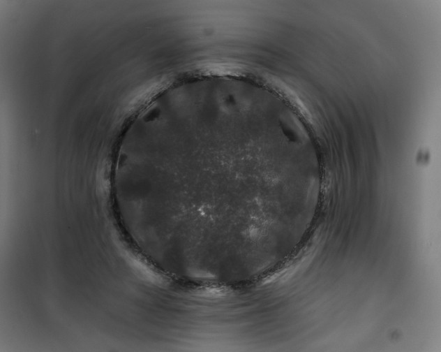 X0000100750402200807031340