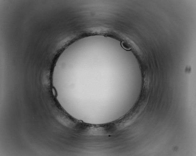 X0000100750403200807031340