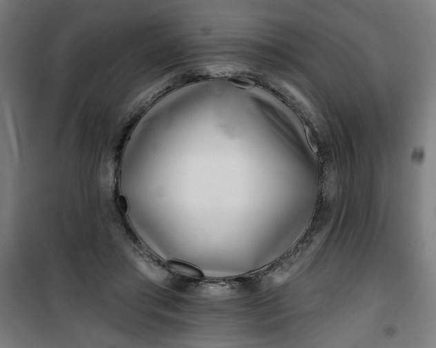 X0000100750405200807031340