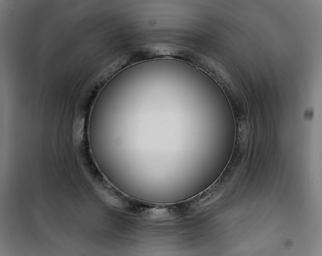 X0000100750406200807031340