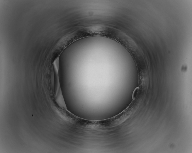 X0000100750408200807031340