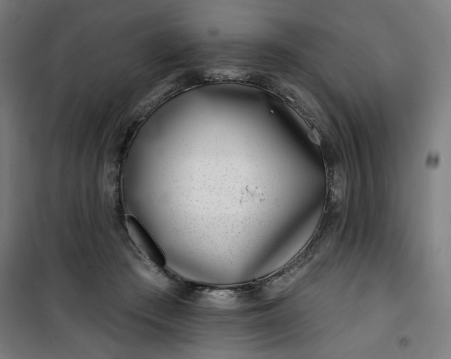 X0000100750409200807031340