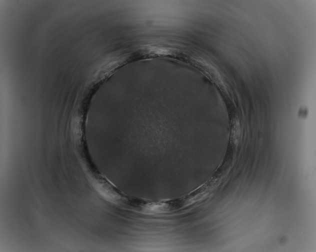 X0000100750410200807031340