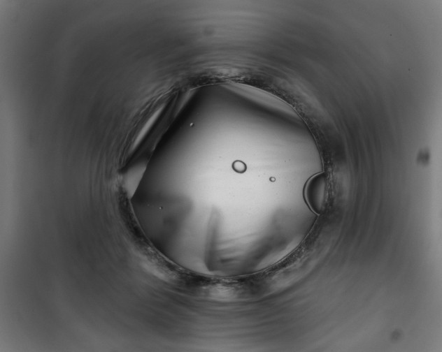 X0000100750412200807031340