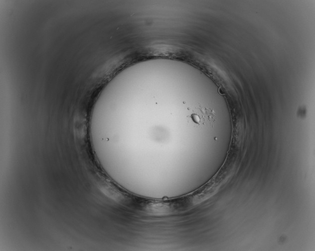 X0000100750413200807031340