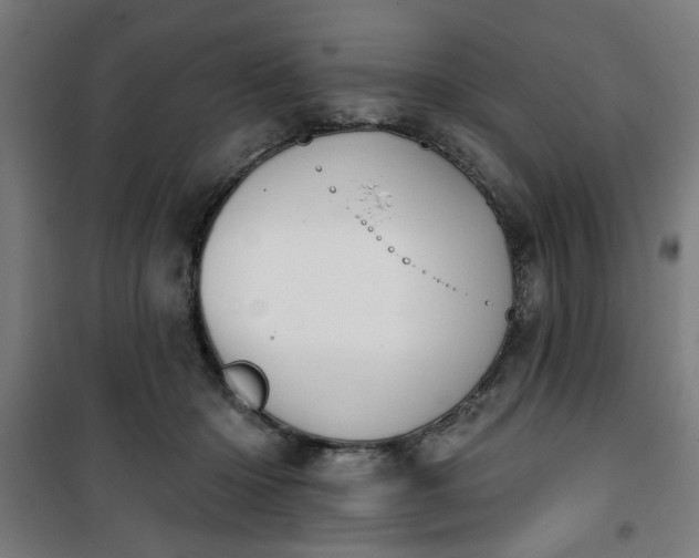 X0000100750414200807031340