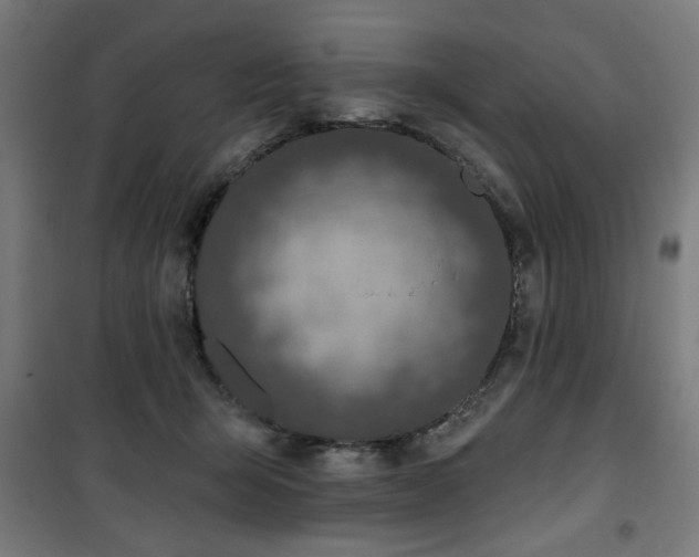 X0000100750415200807031340