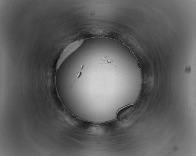 X0000100750416200807031340