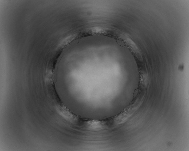 X0000100750419200807031340