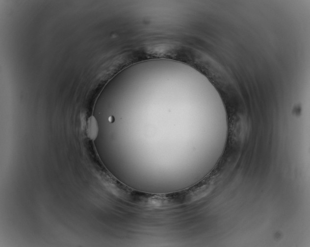 X0000100750420200807031340