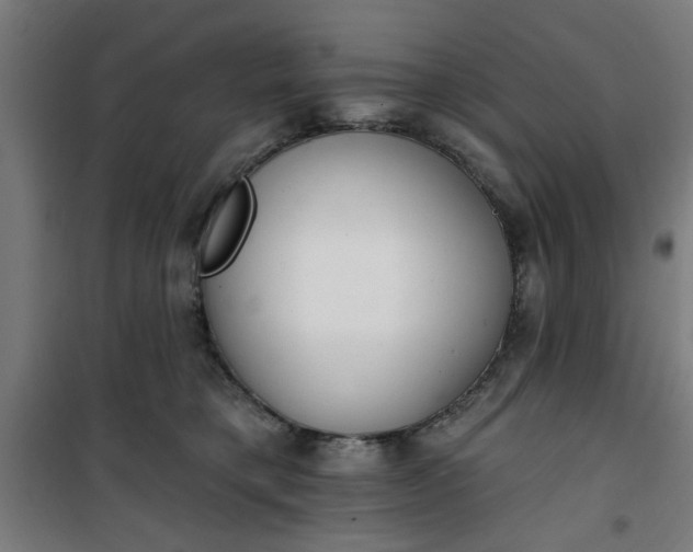 X0000100750421200807031340