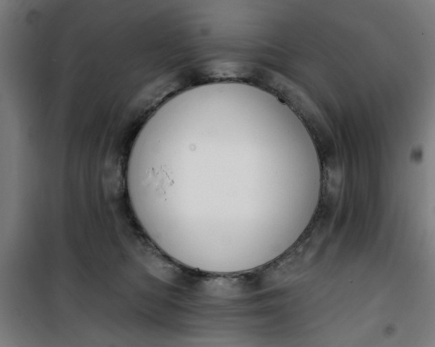 X0000100750422200807031340