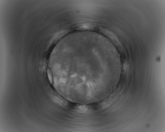 X0000100750423200807031340