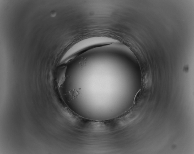 X0000100750424200807031340