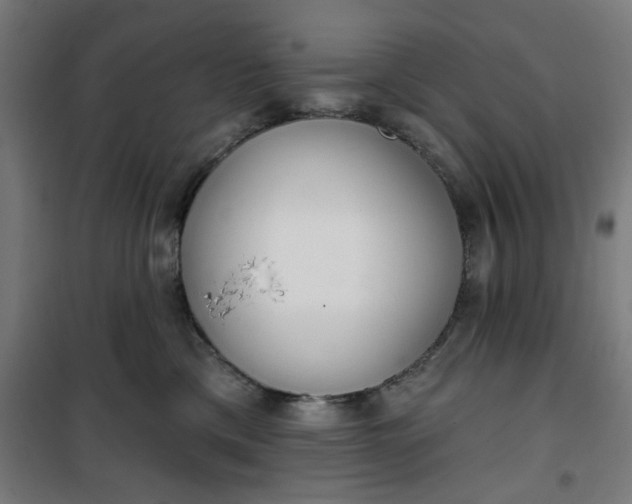 X0000100750425200807031340