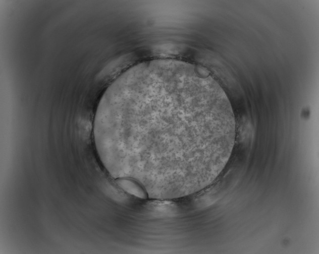 X0000100750427200807031340