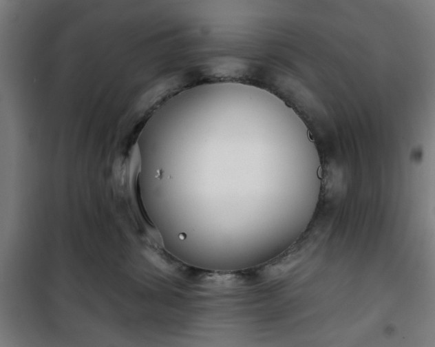 X0000100750428200807031340