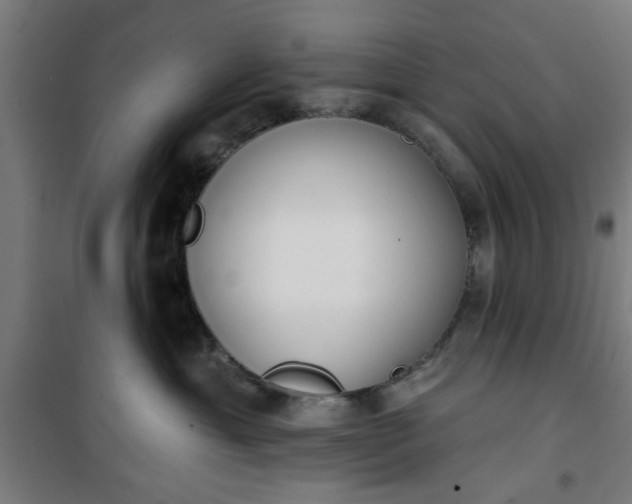 X0000100750429200807031340