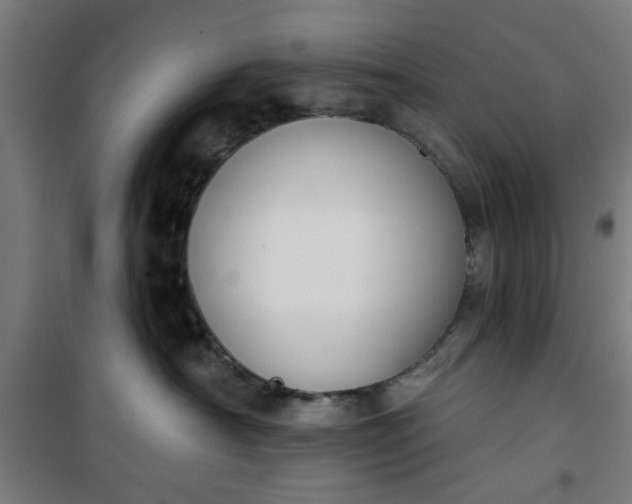 X0000100750430200807031340