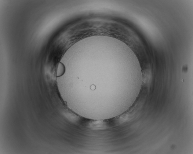 X0000100750431200807031340