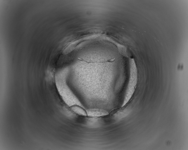 X0000100750432200807031340