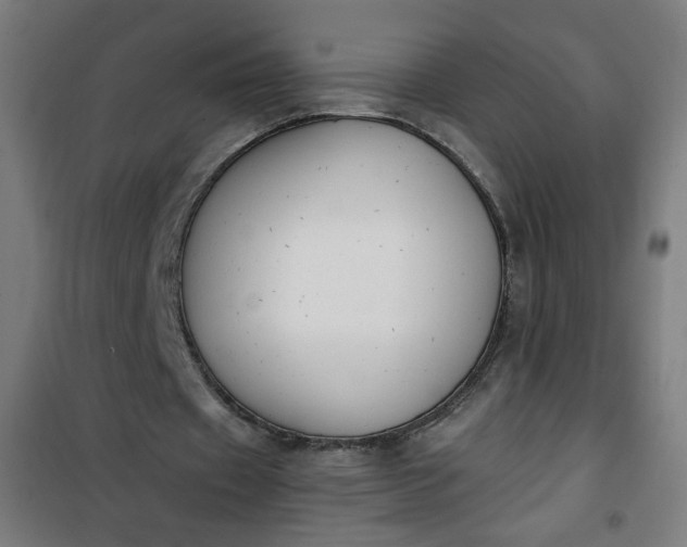 X0000100750433200807031339