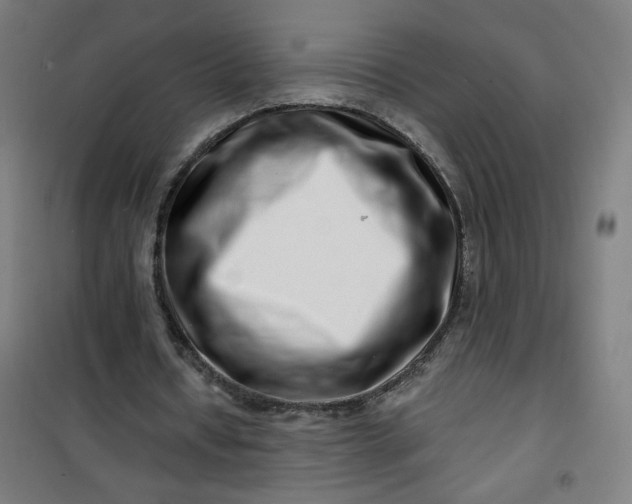 X0000100750434200807031339