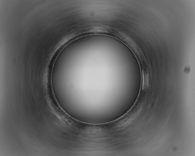 X0000100750435200807031339