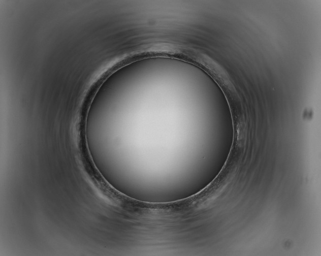 X0000100750436200807031339