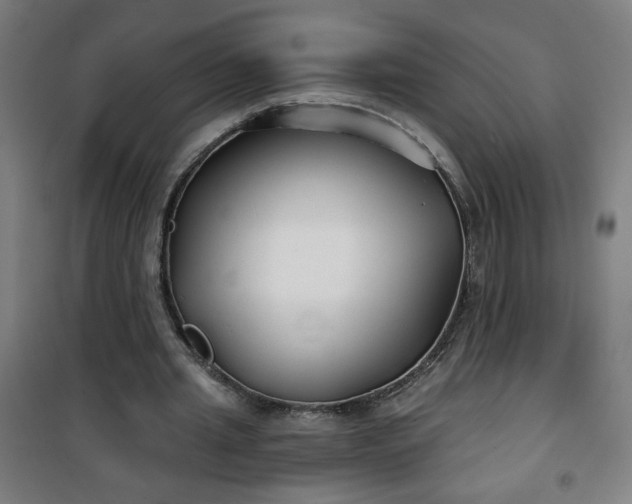 X0000100750437200807031339