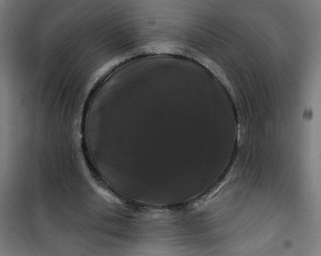 X0000100750438200807031339