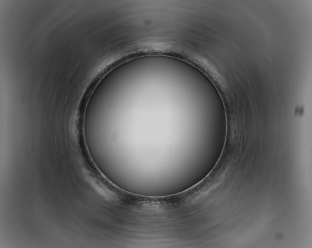 X0000100750439200807031339