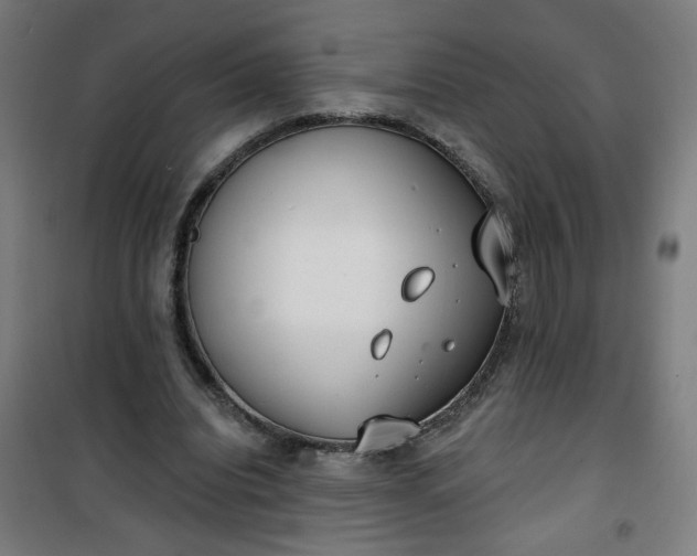 X0000100750440200807031339