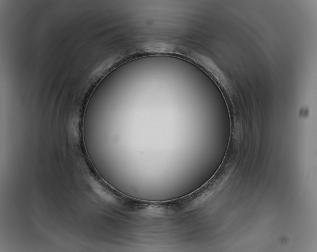 X0000100750441200807031339