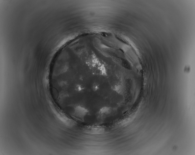 X0000100750443200807031339