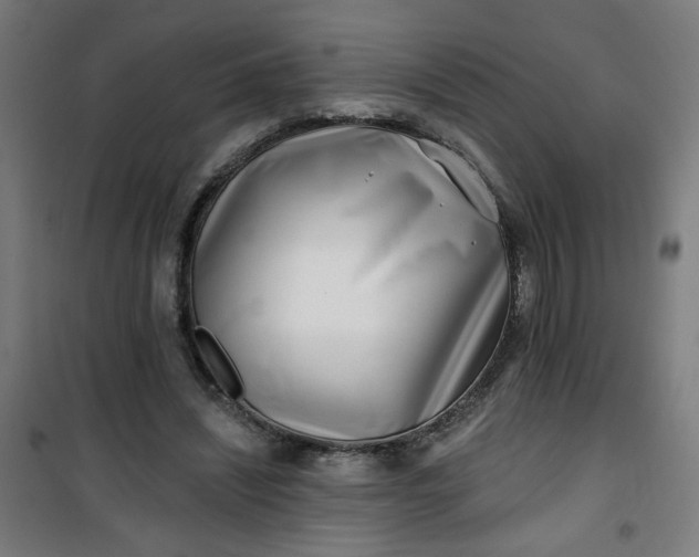 X0000100750444200807031339