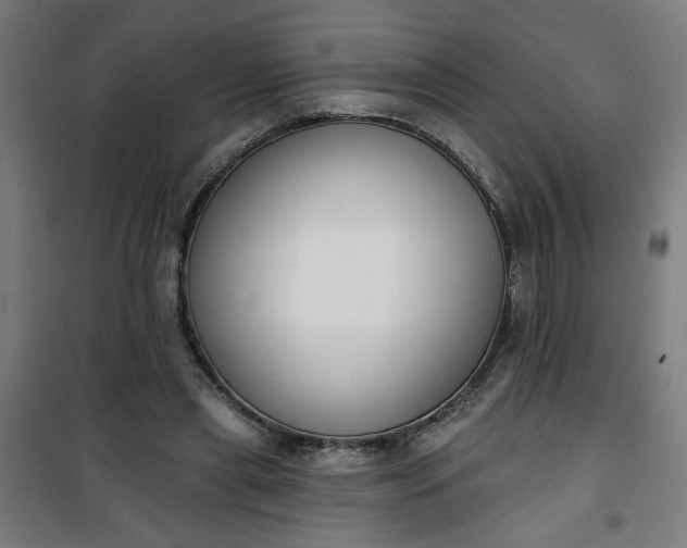 X0000100750445200807031340