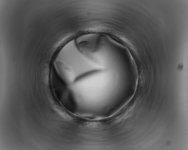 X0000100750446200807031340