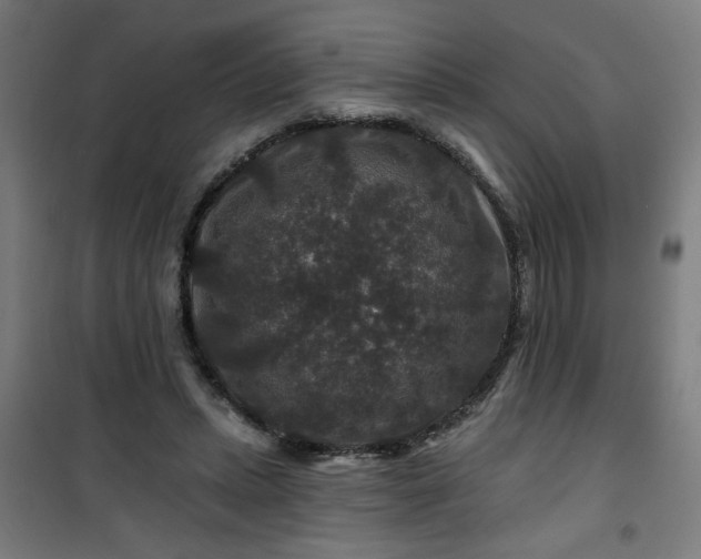 X0000100750447200807031340