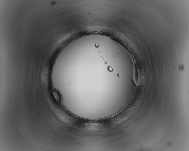 X0000100750448200807031340